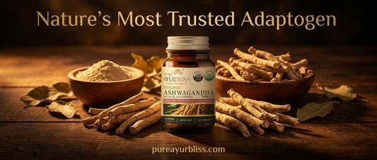 Ashwagandha: A Traditional Ayurvedic Herb for Everyday Balance — PureAyurbliss