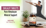 Shilajit Tablets