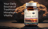Shilajit Tablets